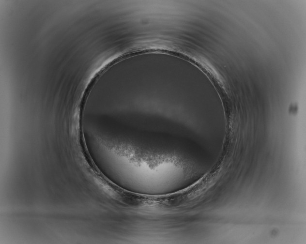 X0000101140790200807110941