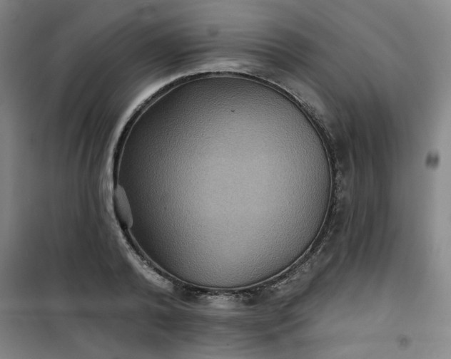 X0000101140792200807110941