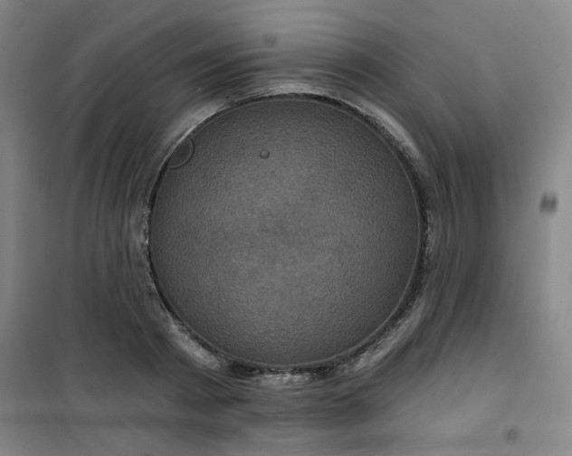 X0000101140793200807110941