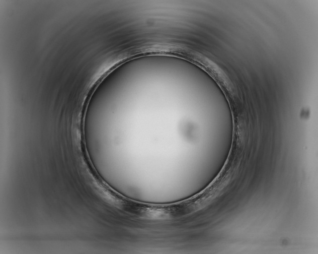 X0000101140794200807110941