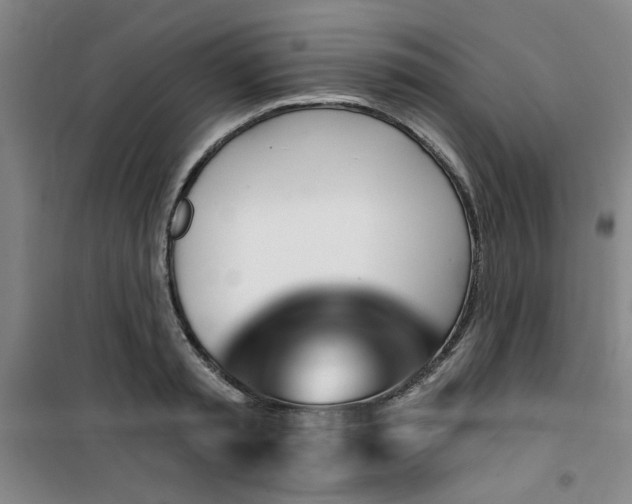 X0000101140797200807110941