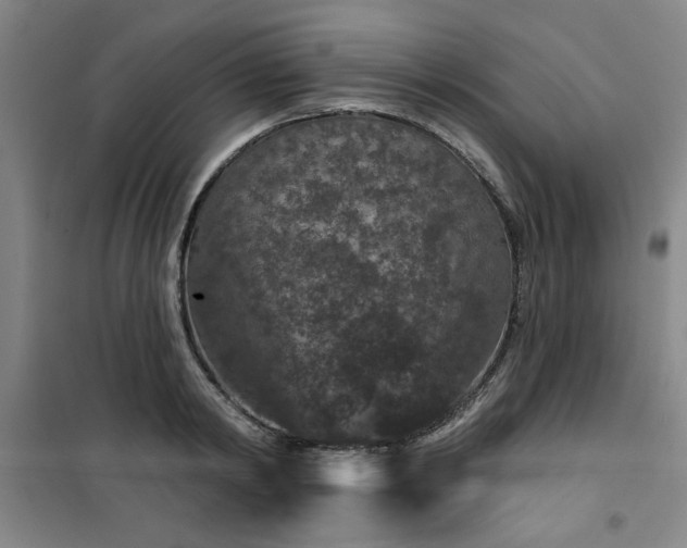 X0000101140798200807110941