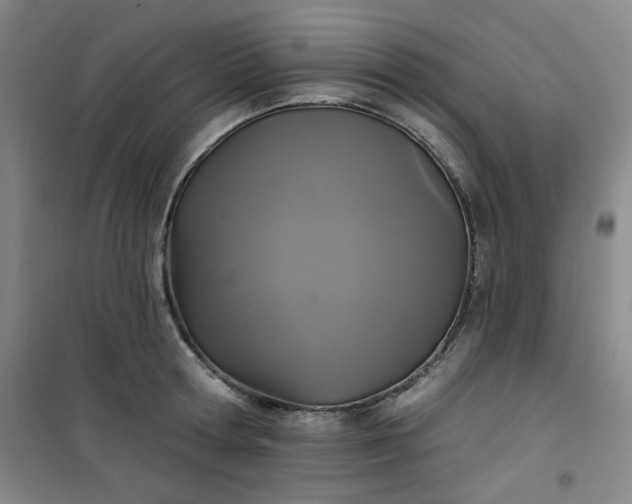 X0000101140802200807110941