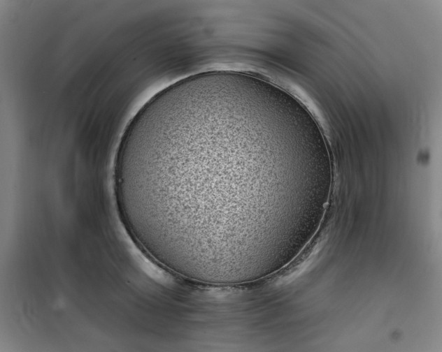 X0000101140803200807110941