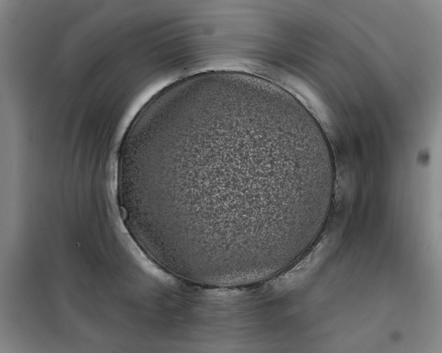 X0000101140804200807110941