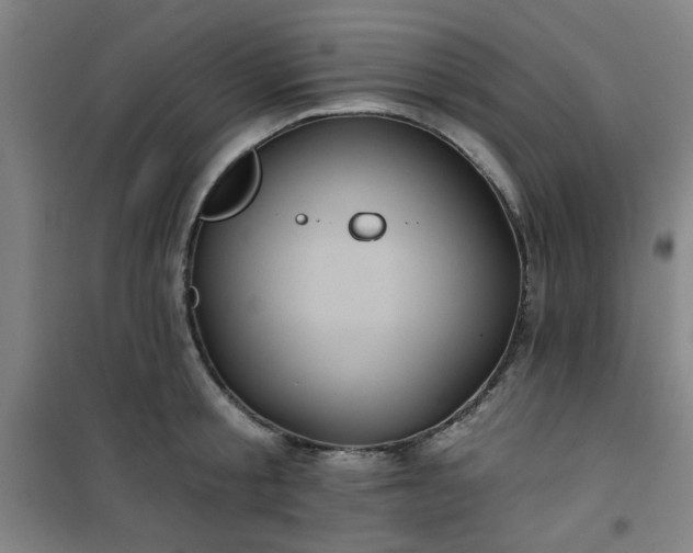 X0000101140805200807110941