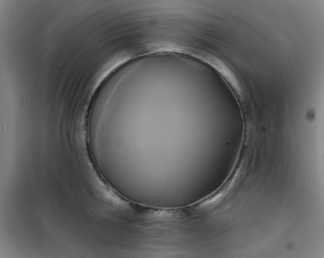 X0000101140806200807110941