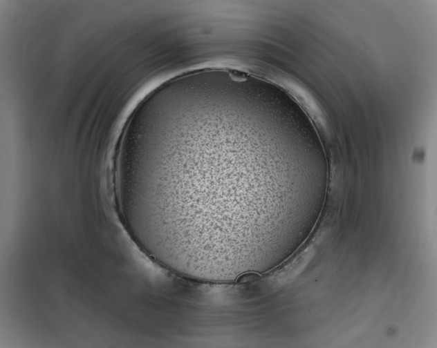 X0000101140808200807110941