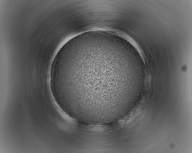 X0000101140811200807110941