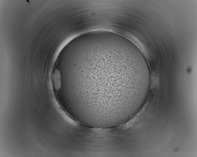 X0000101140812200807110941