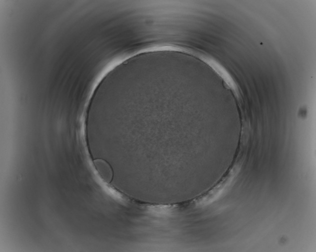 X0000101140813200807110941