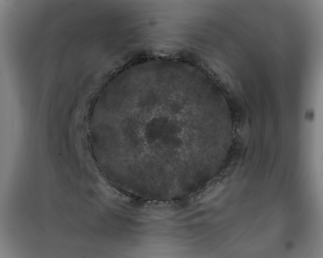 X0000101140817200807110940