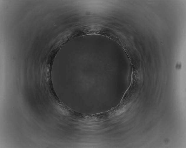 X0000101140818200807110940