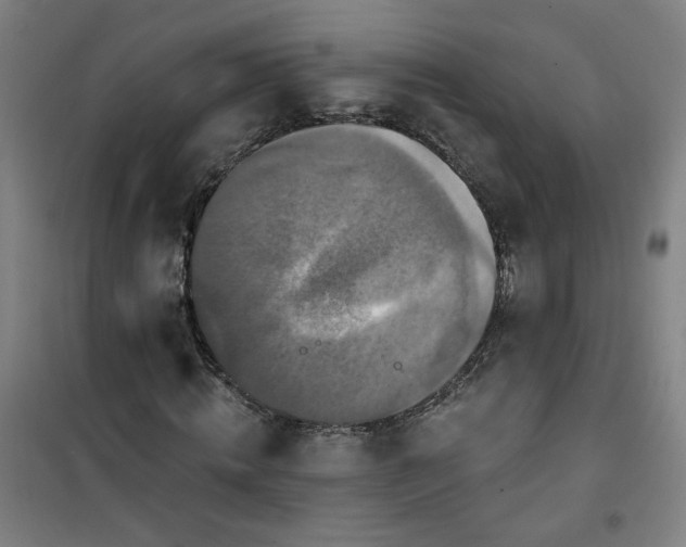 X0000101140820200807110940