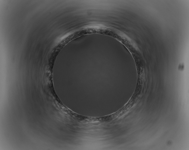 X0000101140822200807110940