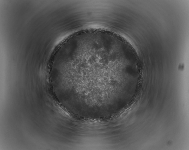 X0000101140823200807110940