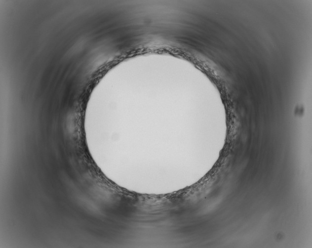 X0000101140824200807110940