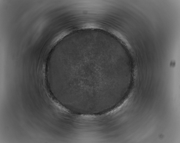 X0000101140825200807110940