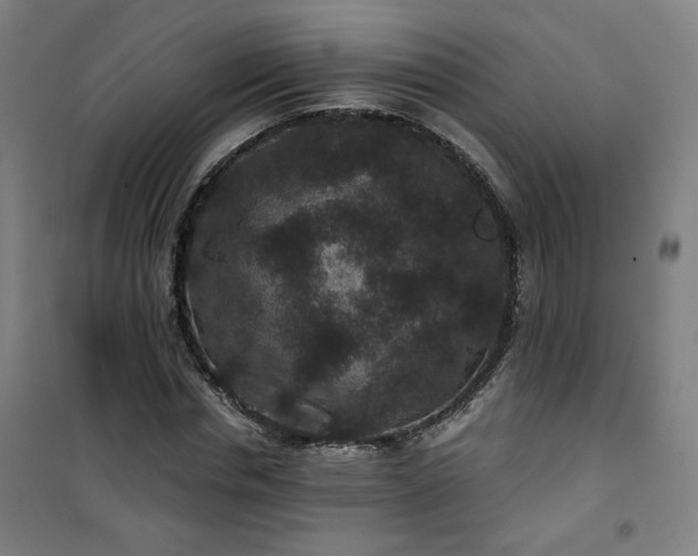 X0000101140826200807110940