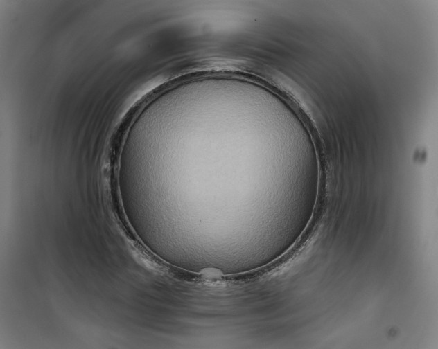 X0000101140827200807110940