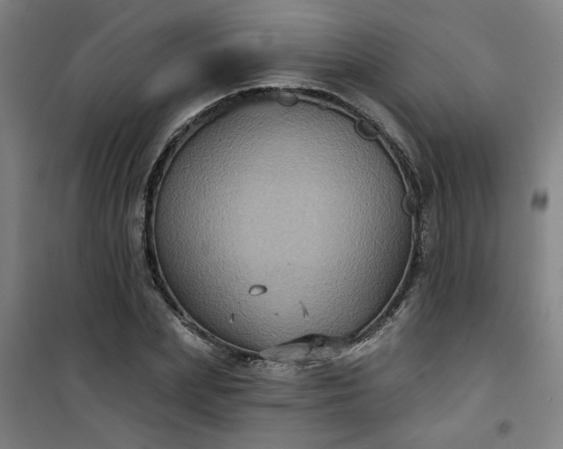 X0000101140831200807110940