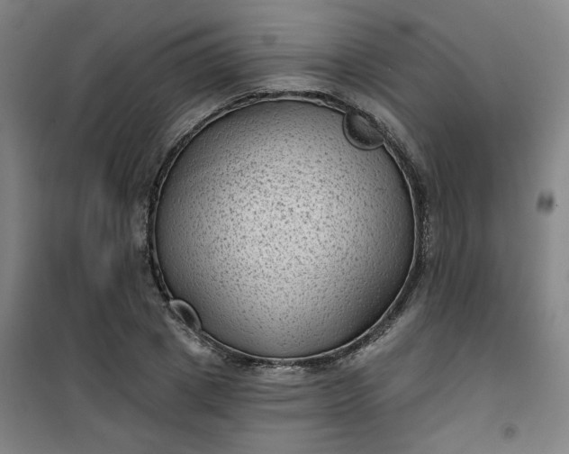 X0000101140833200807110940