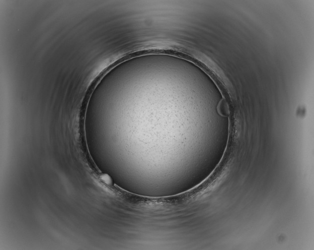 X0000101140834200807110940