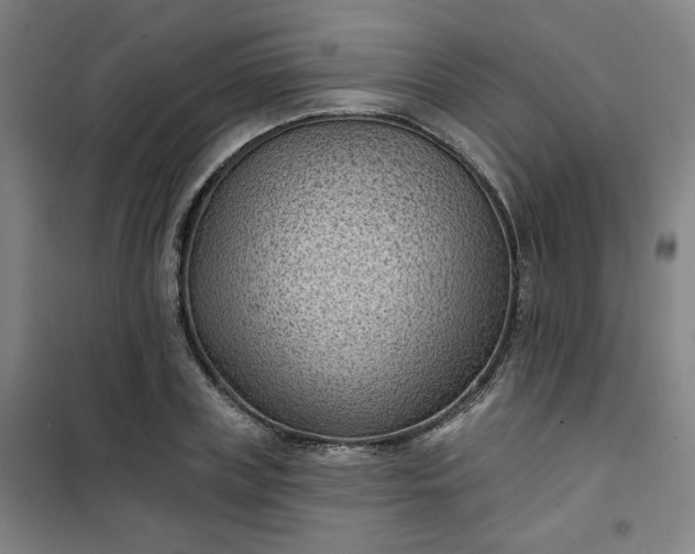 X0000101140835200807110940