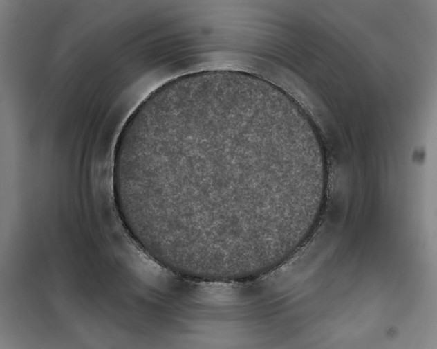 X0000101140836200807110940