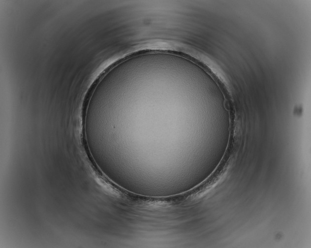 X0000101140837200807110940