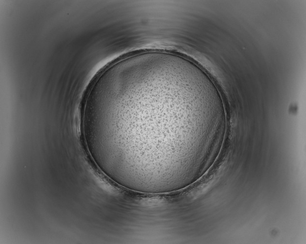 X0000101140838200807110940