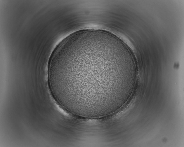 X0000101140839200807110940