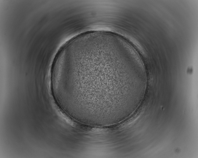 X0000101140840200807110940