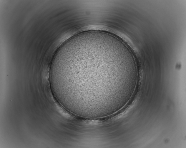 X0000101140841200807110941