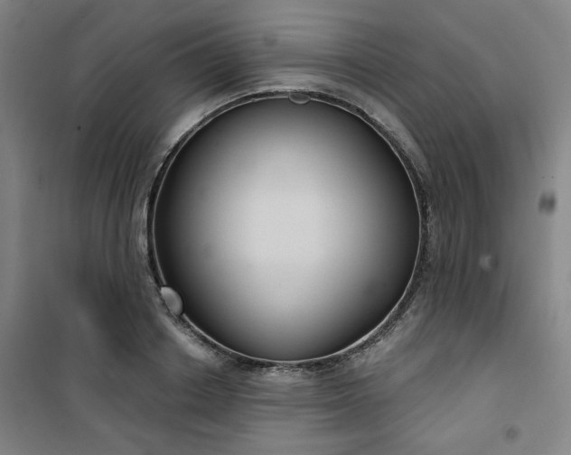 X0000101140842200807110941