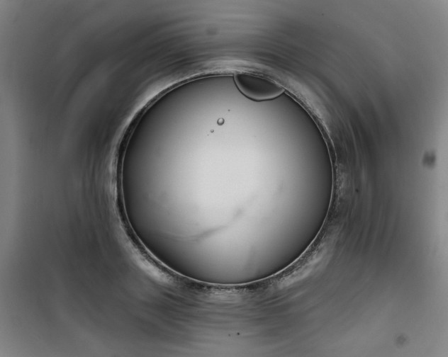 X0000101140843200807110941