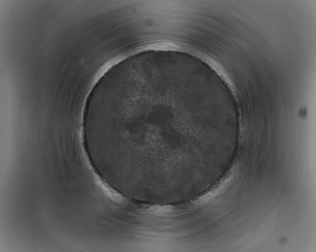 X0000101140845200807110941