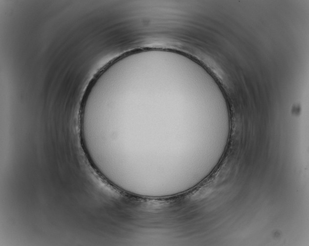 X0000101140848200807110941