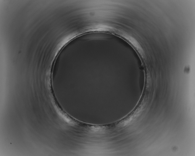 X0000101140850200807110941