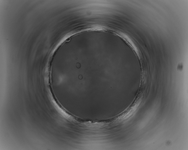 X0000101140851200807110941