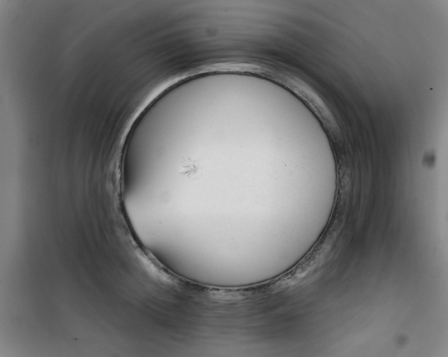 X0000101140852200807110941