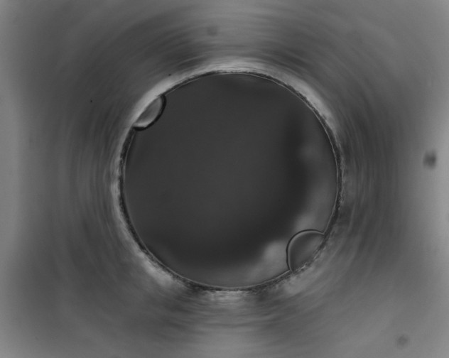 X0000101140853200807110941