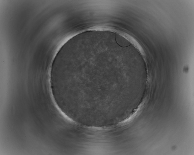 X0000101140855200807110941