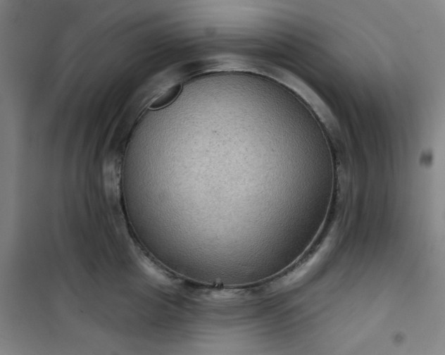 X0000101140857200807110941