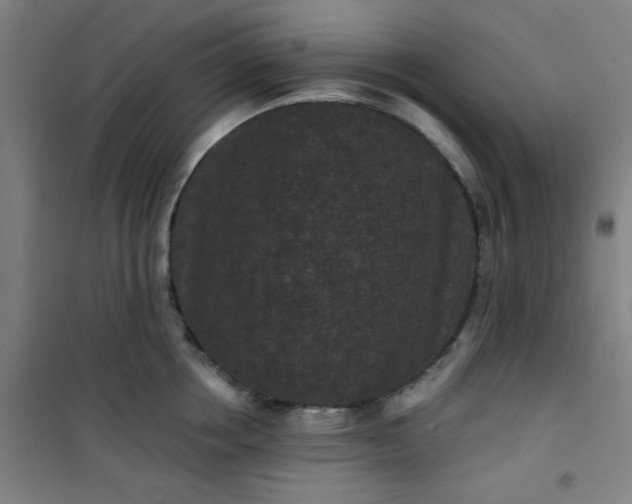 X0000101140858200807110941