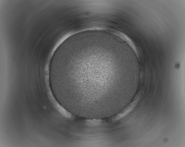 X0000101140859200807110941