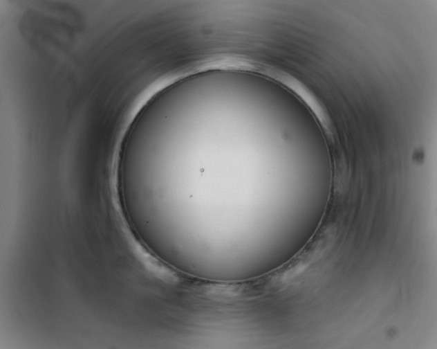 X0000101140861200807110941