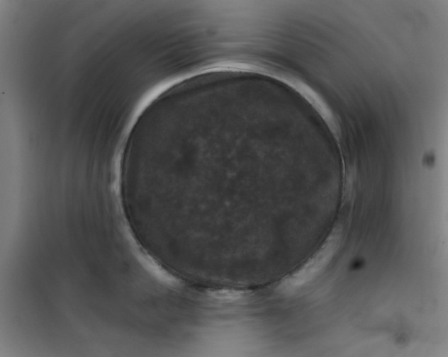 X0000101140862200807110941