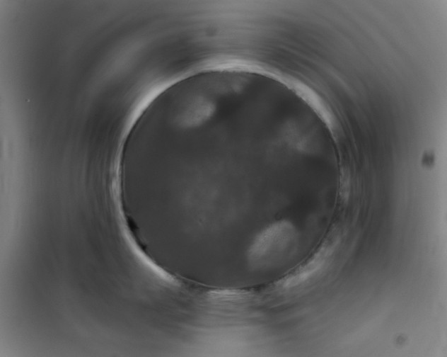 X0000101140863200807110941