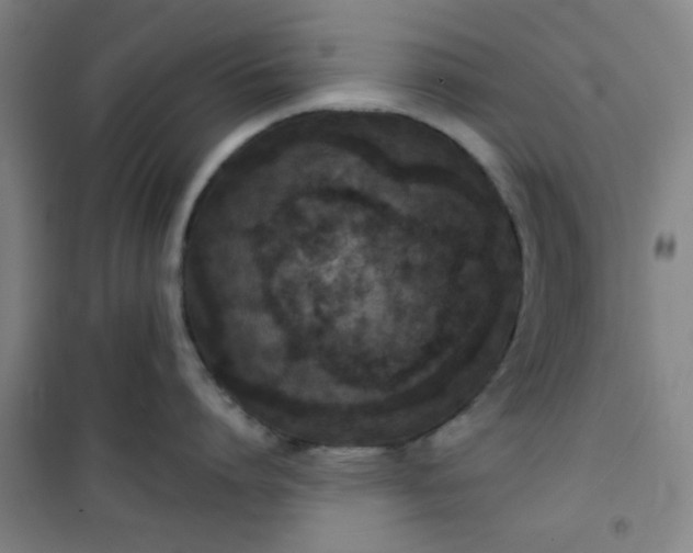 X0000101140864200807110941